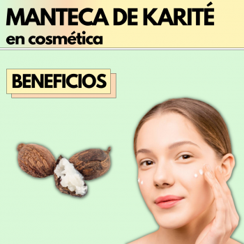 Guia sobre la Manteca de Karité