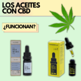 ¿Qué son los aceites de CBD? | Principales beneficios