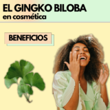 El Gingko Biloba | Un ingrediente con gran poder antioxidante