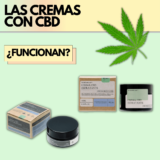 Las cremas con CBD | Qué beneficios tienen y quién debería utilizarlas