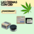 ¿Qué son los aceites de CBD? | Principales beneficios