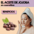 El Gingko Biloba | Un ingrediente con gran poder antioxidante