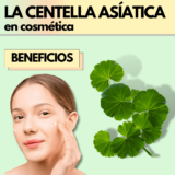 La Centella Asiática | El ingrediente de moda en cosmética Coreana