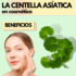 El Gingko Biloba | Un ingrediente con gran poder antioxidante